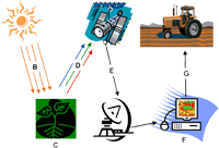 Agriculture Agriculture