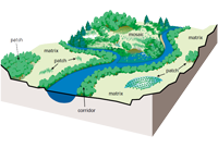 Ecology and Natural resources Ecology and Natural resources